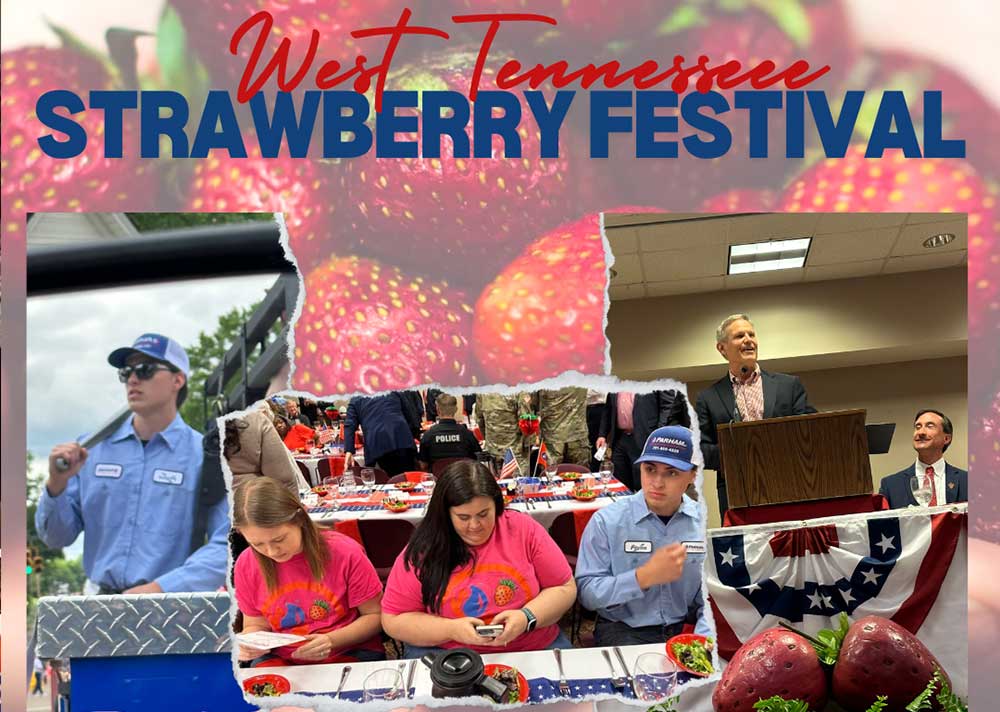 Parham Provides Imagen